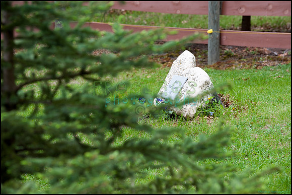 frg_8524_web