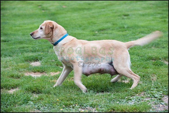 frg_8542_web