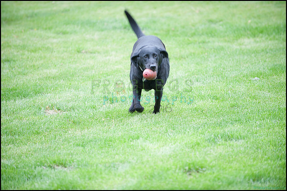 frg_8535_web