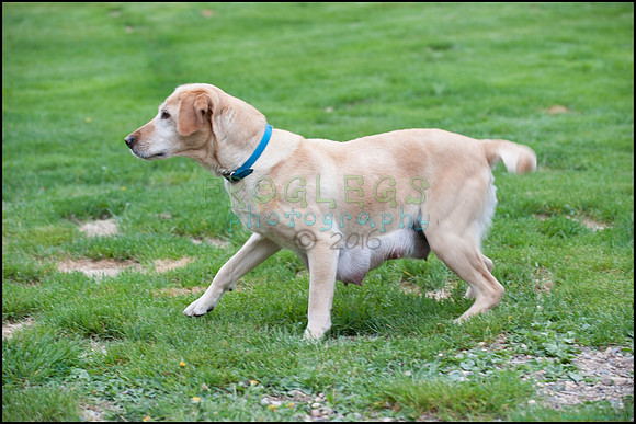 frg_8541_web
