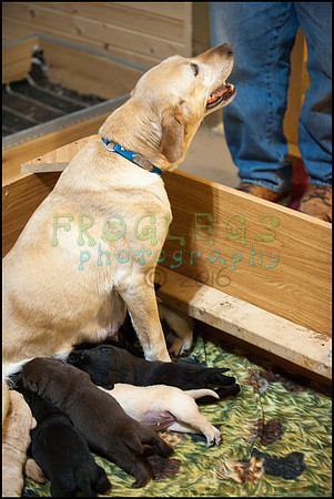 frg_8561_web