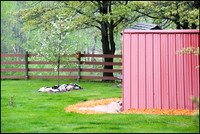 frg_8526_web