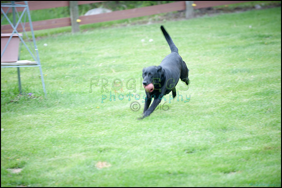frg_8534_web
