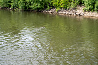 FRG_1673