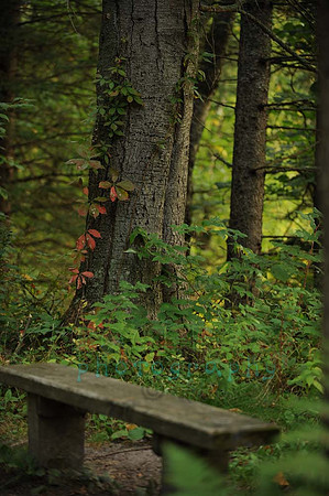 itasca_099