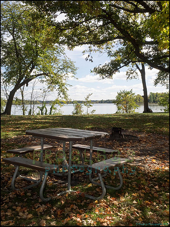 Chippewa_43_web