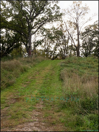 Runestone_109_web