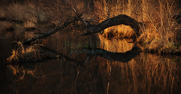 National Wildlife Refuge, Trempealeau, WI