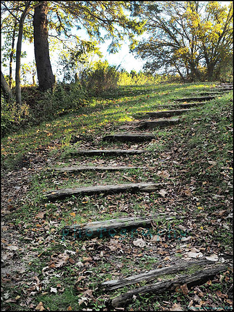 Spruce_Hill_18_web