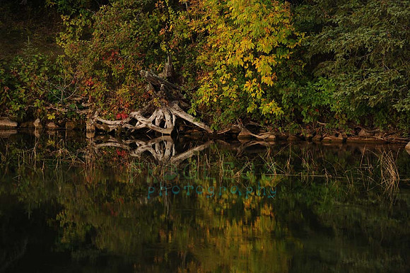 itasca_350