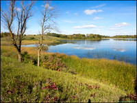 BrophyNorth16_web