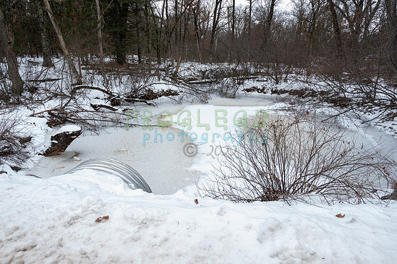 FRG_6231