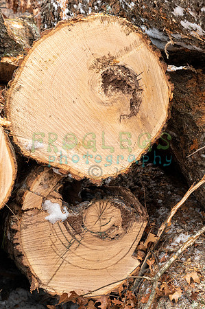 FRG_6248