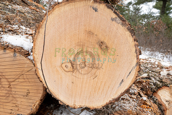 FRG_6253