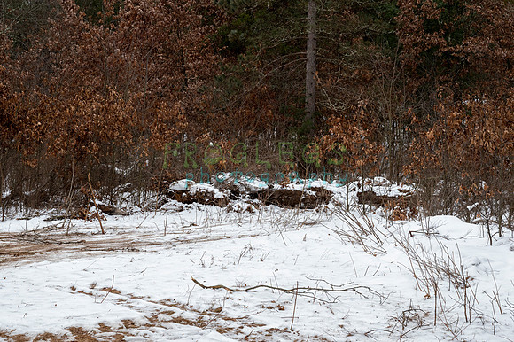 FRG_6261