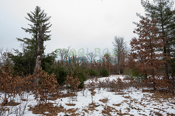 FRG_6269
