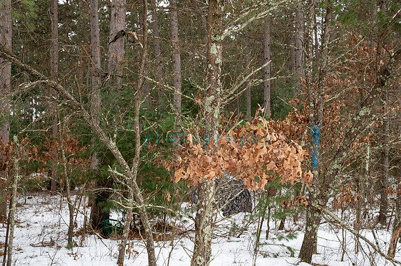 FRG_6276