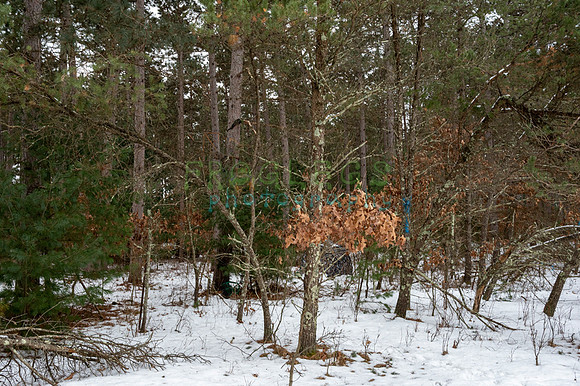 FRG_6277