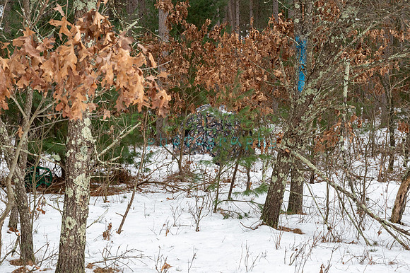 FRG_6279