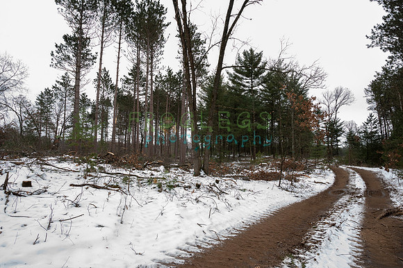 FRG_6282