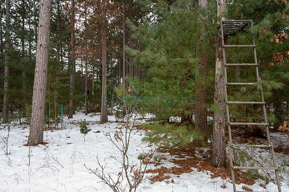 FRG_6285