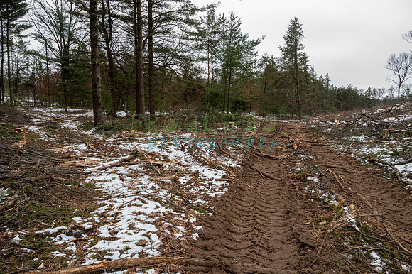 FRG_6302