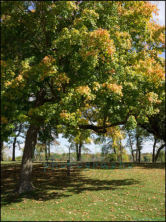 Chippewa_41_web