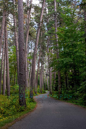 FRG_itasca_232
