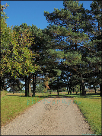 Spruce_Hill_22_web