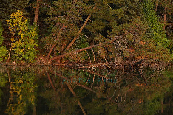 itasca_346