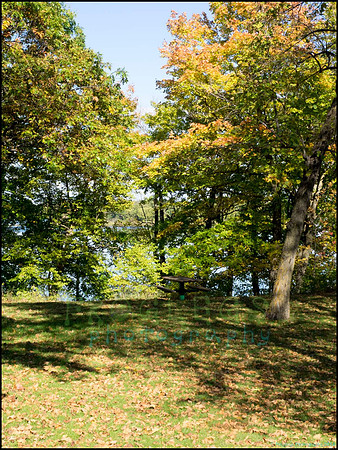 Br_Wayside_14_web