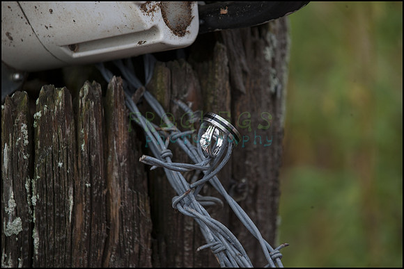 119_sag_5714_web