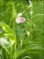P6200724J_web