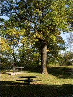 Br_Wayside_16_web