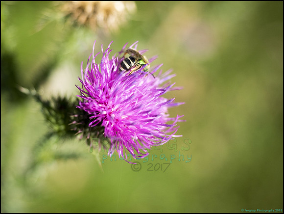 P9290299K_web