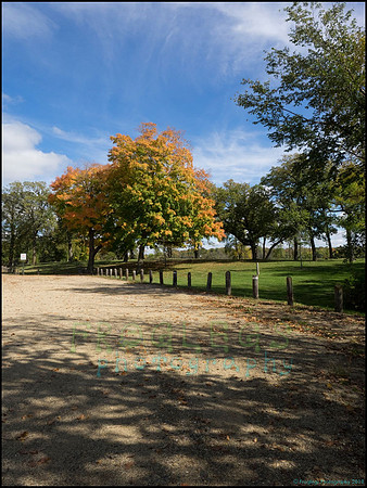 Chippewa_39_web