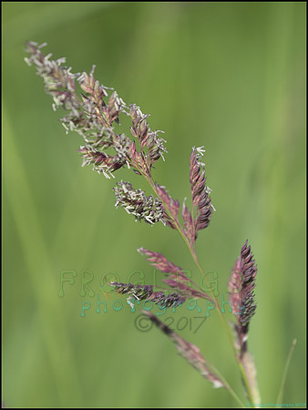 P6200701E_web