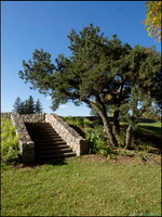 Br_Wayside_04_web
