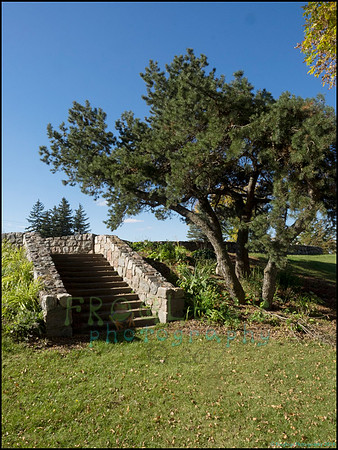 Br_Wayside_04_web