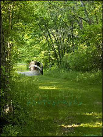 P6200782L_web