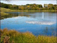 BrophyNorth14_web
