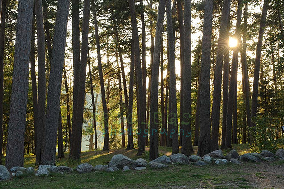 itasca_002