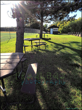 Spruce_Hill_01_web