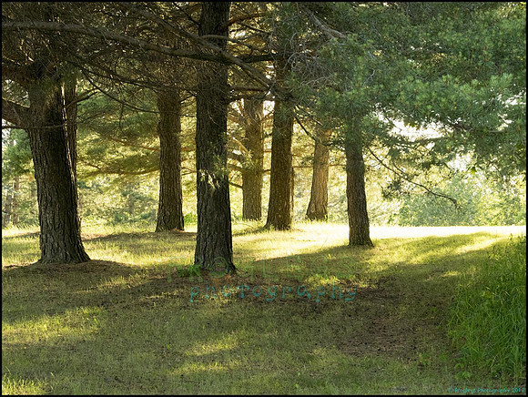 P6200792B_web