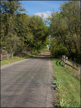 BrophyNorth54_web