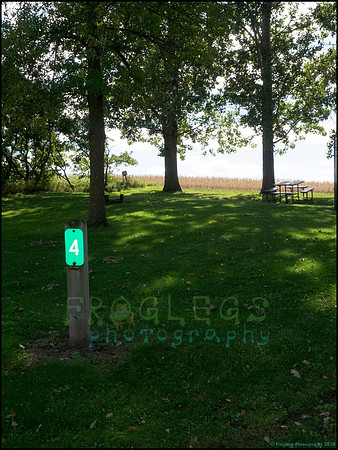 Chippewa_23_web