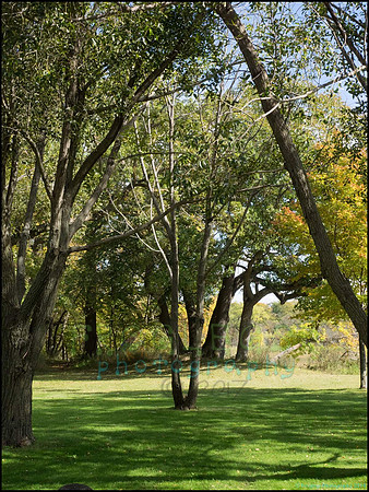 Chippewa_74_web