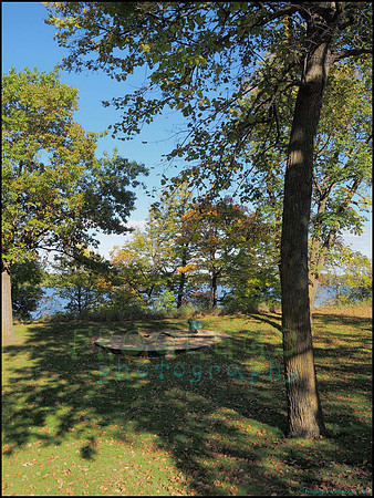 Br_Wayside_44_web
