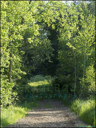 P6200744BD_web