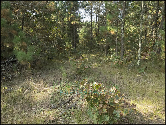 P9220159E_web